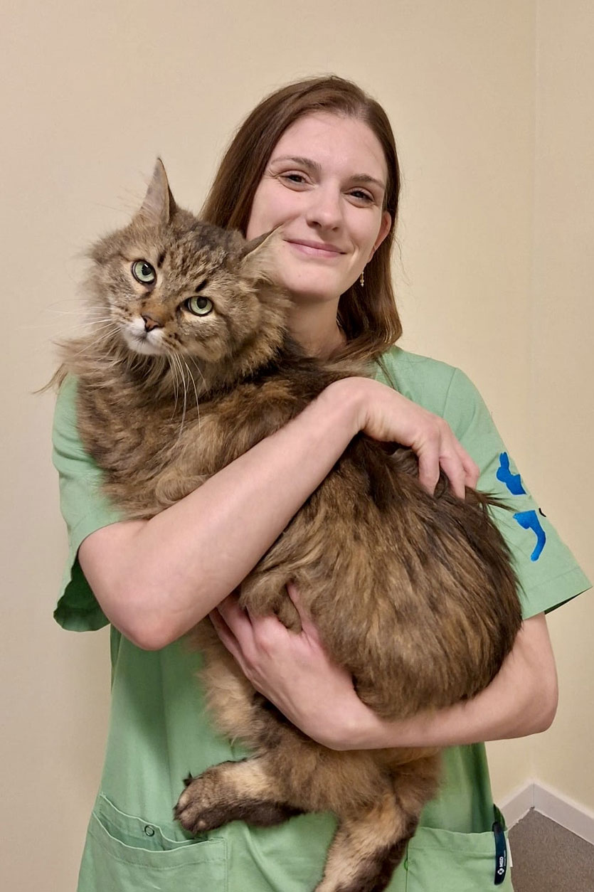 Dierenartsenpraktijk Achterbos